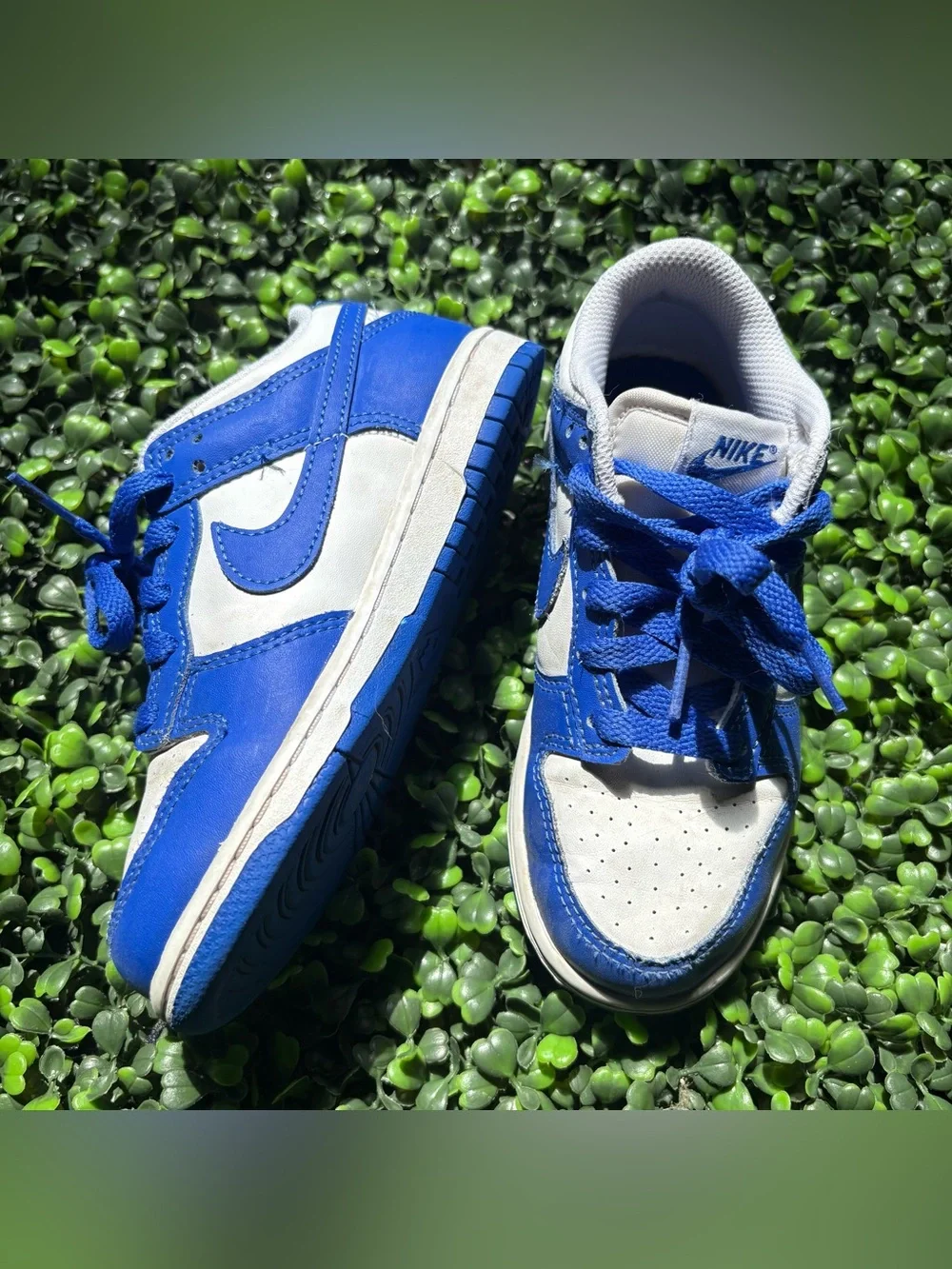 Nike Kids 13C Dunks Royal Blue and White Low-Top Sneakers Lace up Shoes
